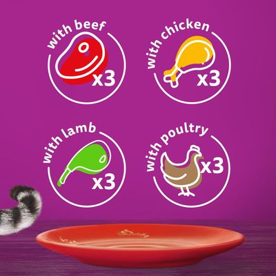 Whiskas 1+ Fleischgerichte in Soße