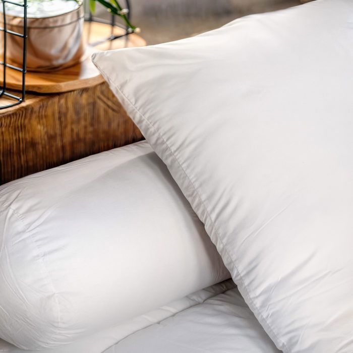 Juego de 2 almohadas suaves – 60x60 cm – Microfibra suave – Fabricadas en Francia – Colas Normand