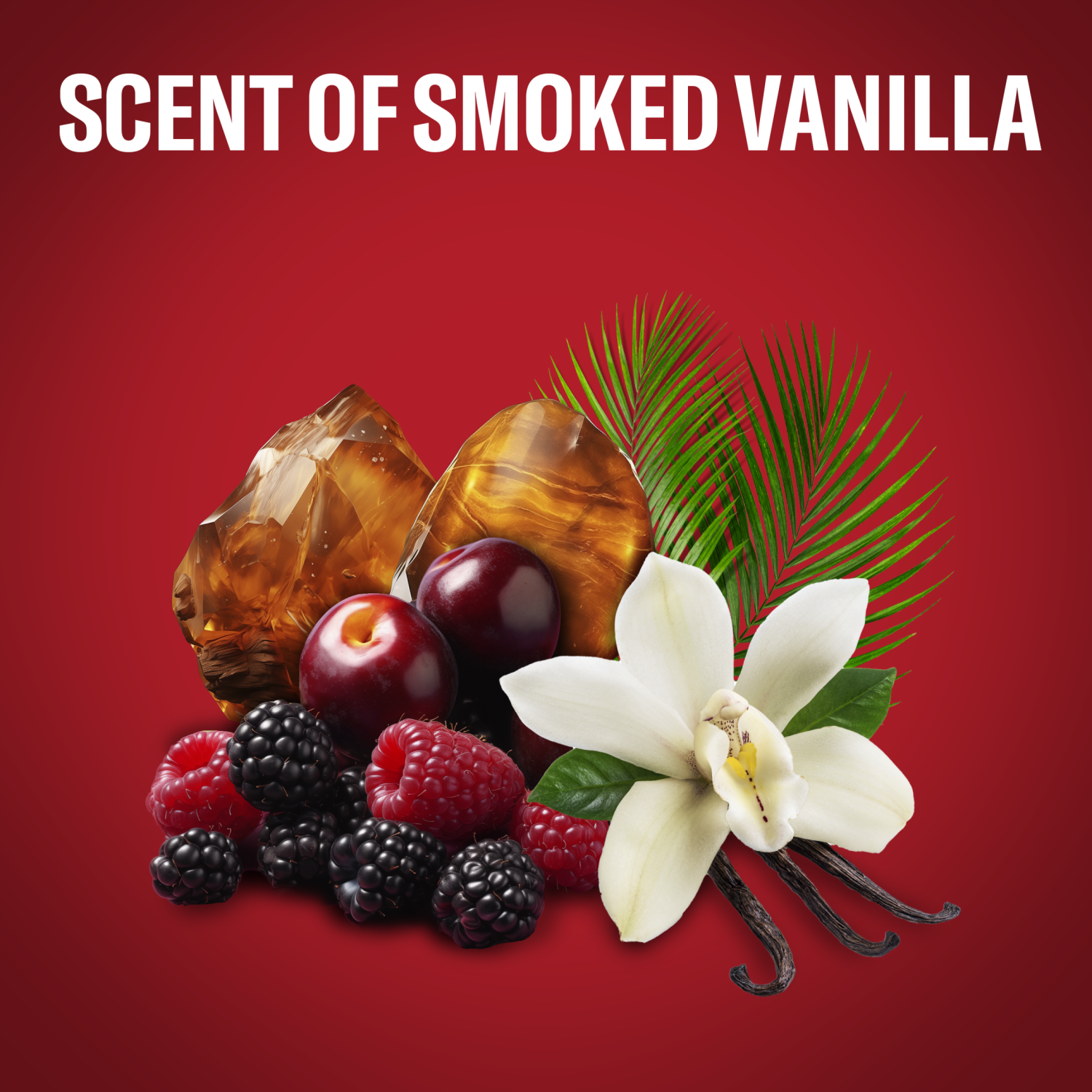 Old Spice Oasis Van