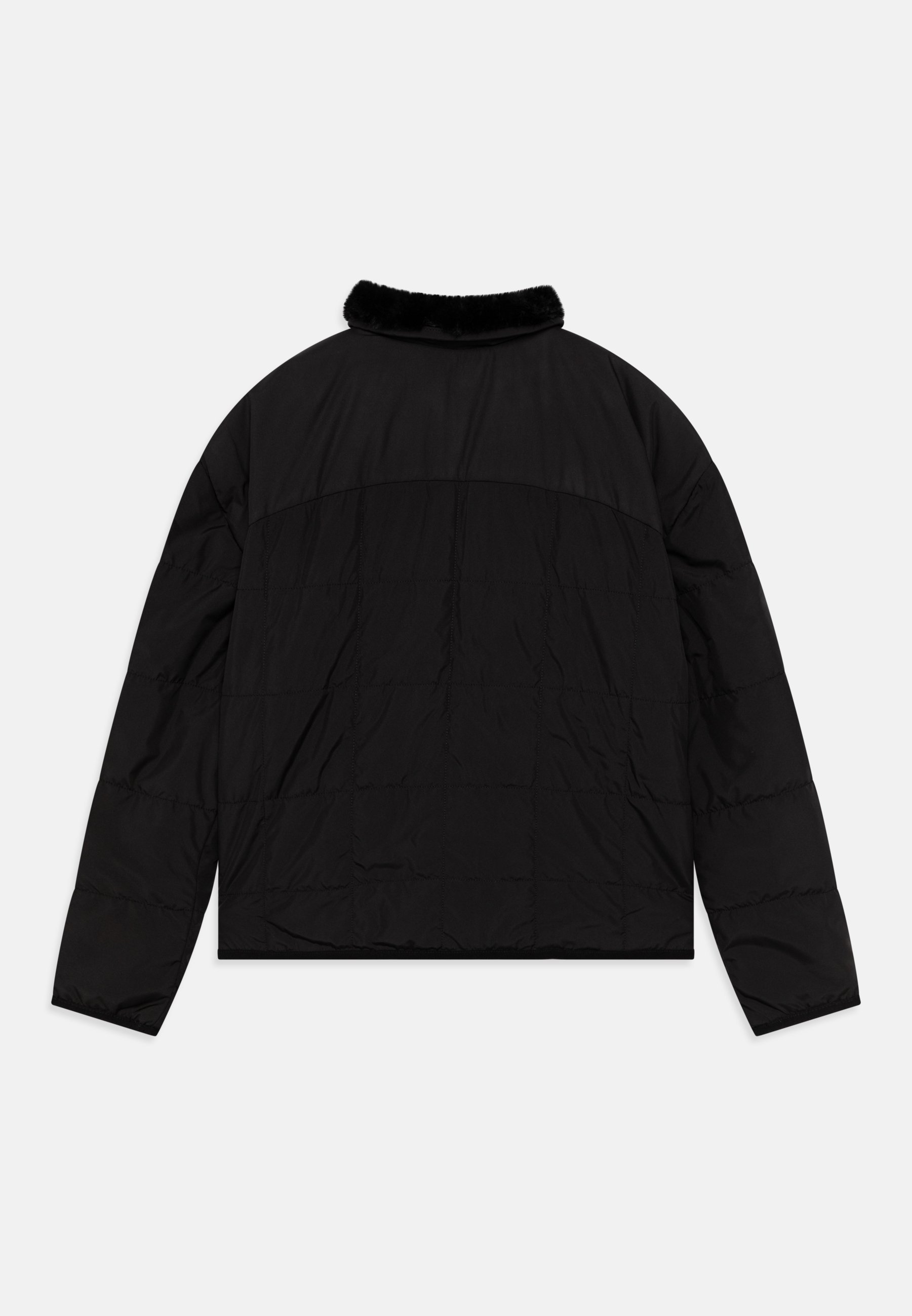 The North Face REVERSIBLE SHASTA JACKET UNISEX - Winterjas - zwart