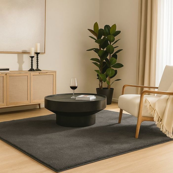 VOUNOT® Tapis de salon poils ras doux antiderapant 160x230cm uni anthracite