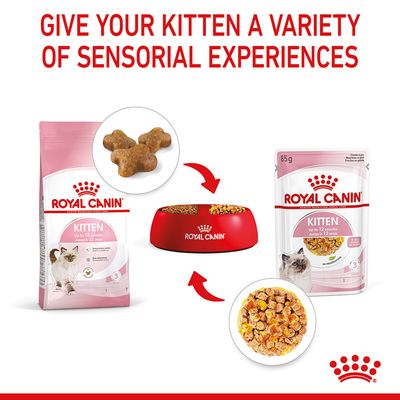Royal Canin Kitten in Jelly