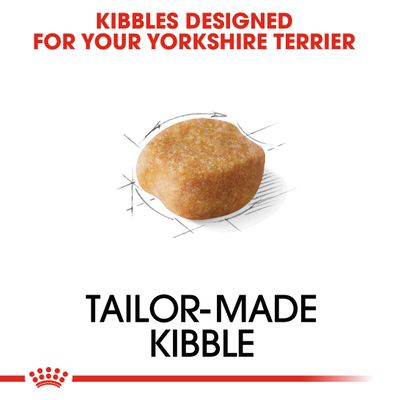 Royal Canin Yorkshire Terrier adulto