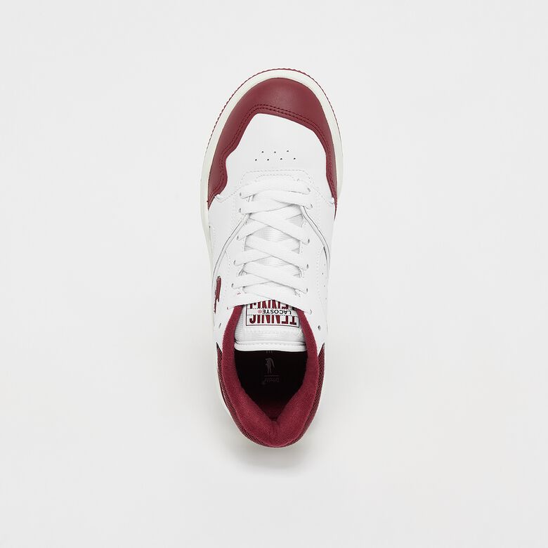 Lineshot 223 2 SFA
