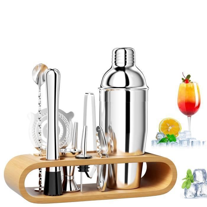 MTEVOTX 10-Piece Stainless Steel Cocktail Shaker Set with Bottle Opener, Pour Spouts, Jigger and Wine Stopper, Martini Set