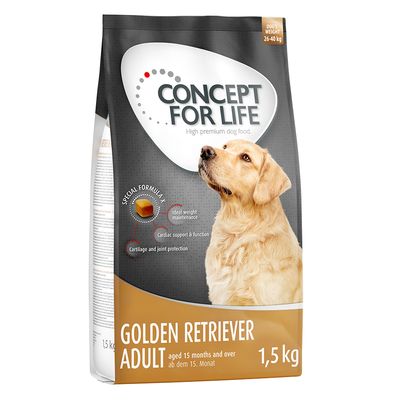 Concept pour la vie Golden Retriever adulte