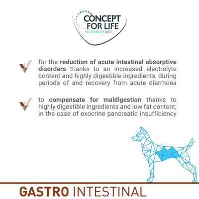 Concetto per la vita Dieta veterinaria gastrointestinale