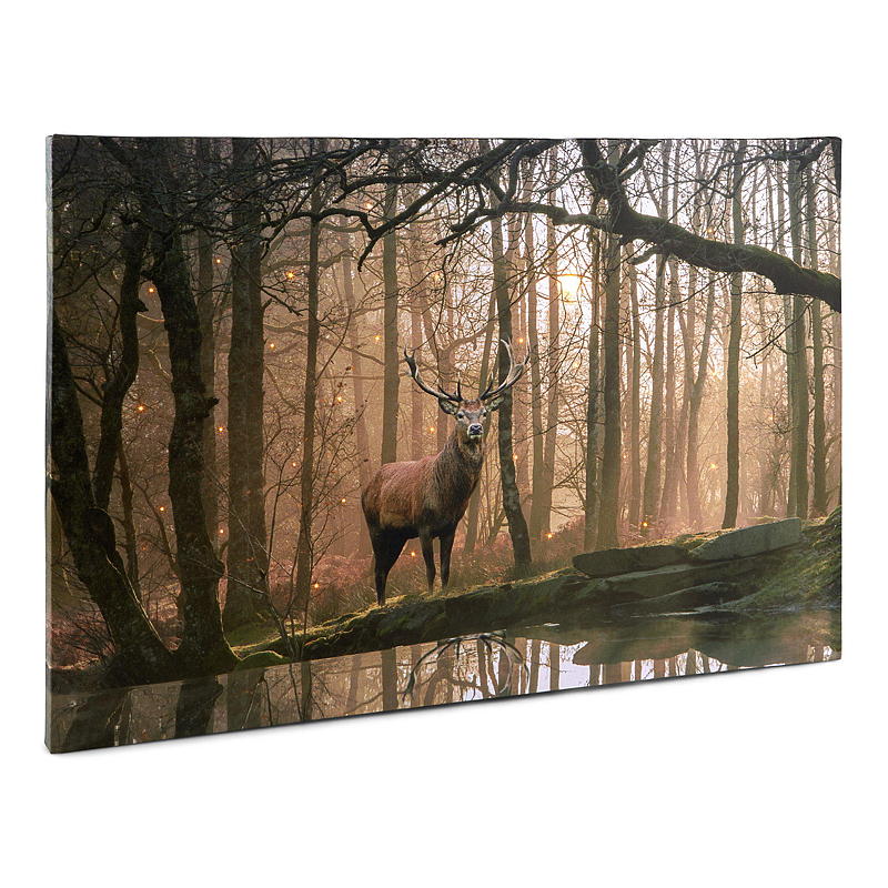 Impression sur toile 38x58 cm, LED/fibre optique, Automne