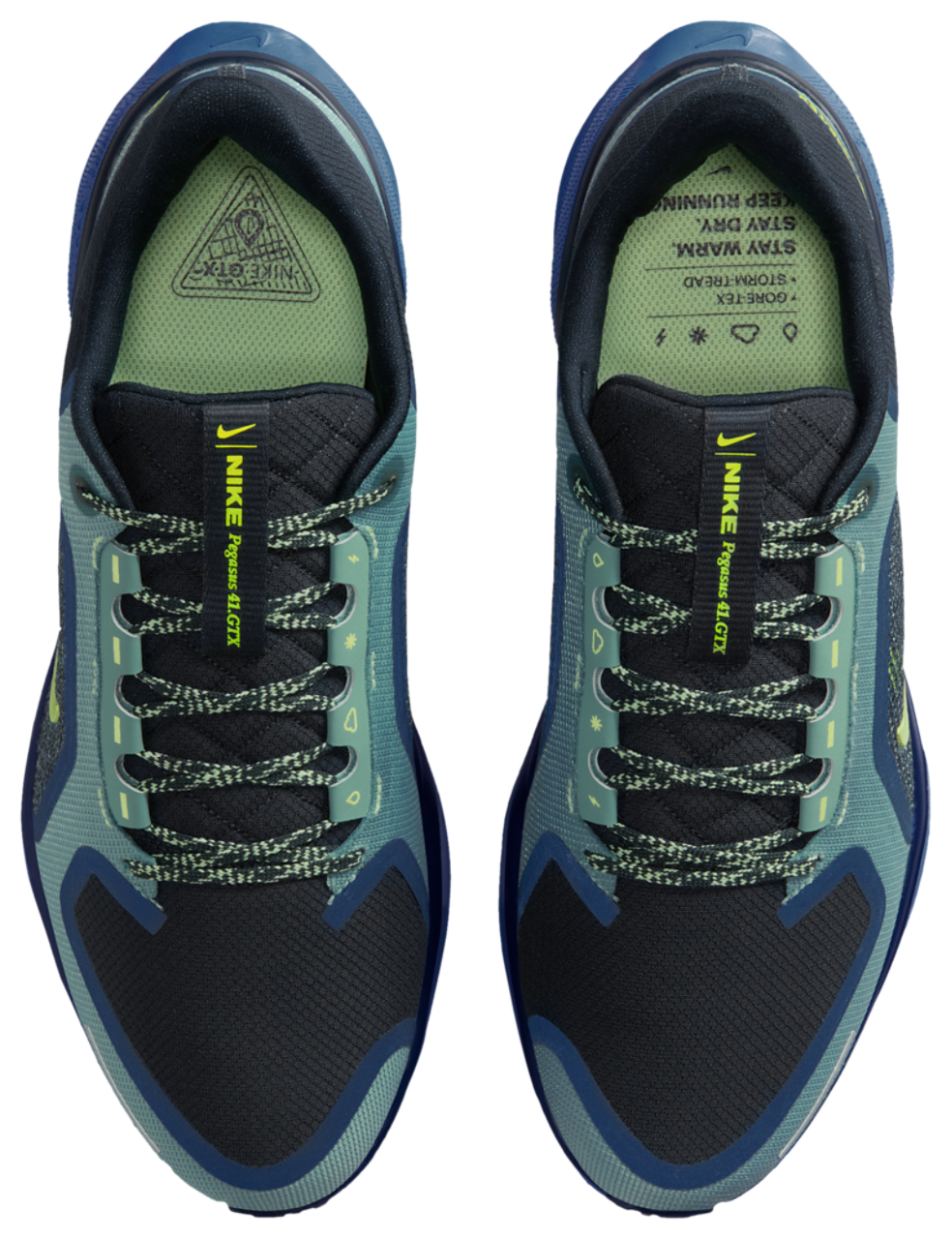 Nike Pegasus 41 Gore-tex