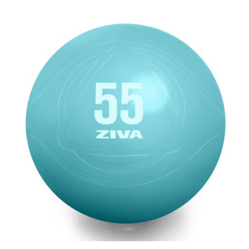  Fitball Ziva Chic 55 cm