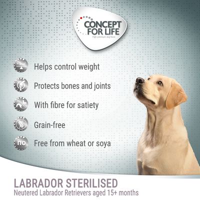 Concept voor het leven Labrador gesteriliseerd