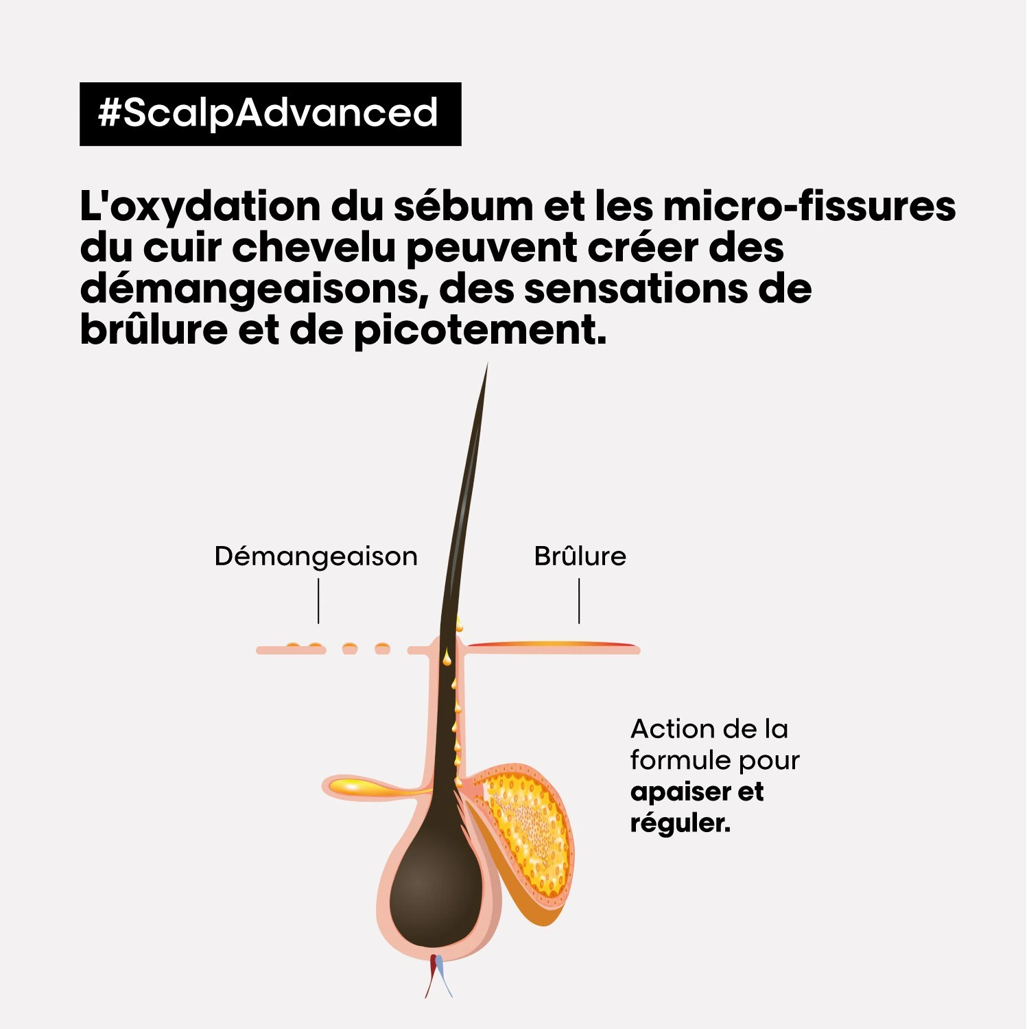 L´Oréal Professionnel Paris Serie Expert Coffret de Noël Duo Scalp Advanced - Cuir Chevelu Sensible