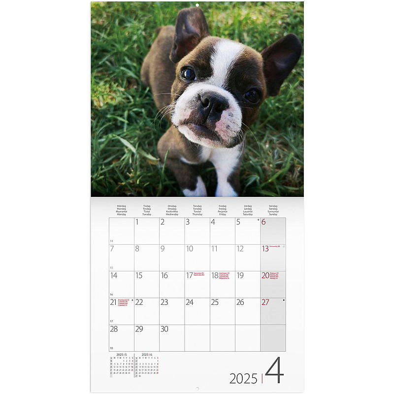 Veggkalender hunder 2025