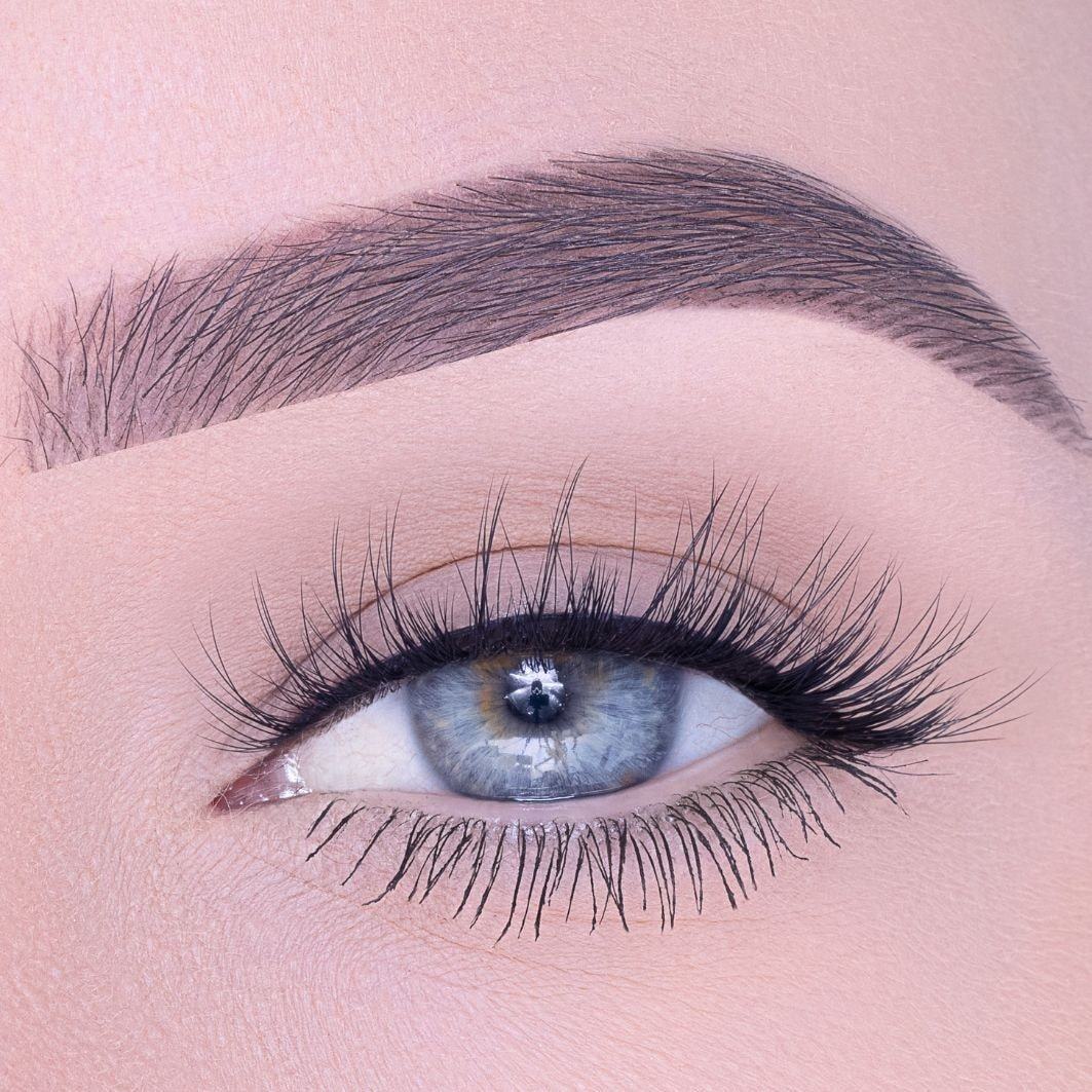 Queen Tarzi False Eyelashes Rose Lash -