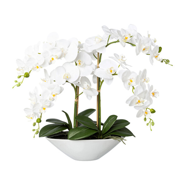 Kunstmatige Phalaenopsis-orchidee in een keramische kom, 53 cm