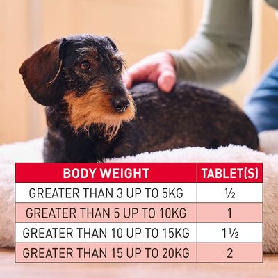 beaphar WORMclear® Tabletten für Hunde