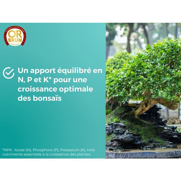 Fertilizante para bonsáis - OR BRUN - OBRECLBONSAI250 - 250 ml - Mejora y promueve el crecimiento - Hecho en Francia