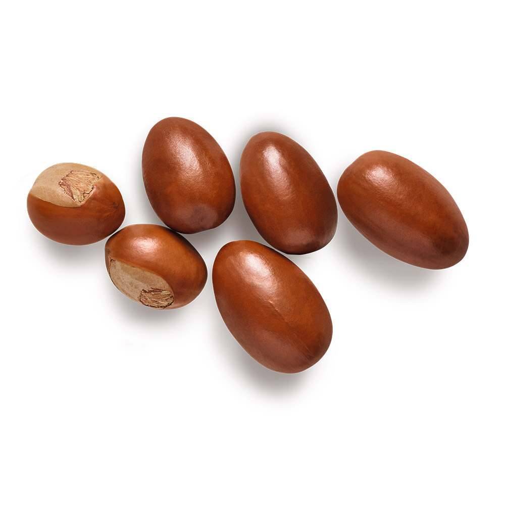 Esfoliante vegetal de manteiga de karité