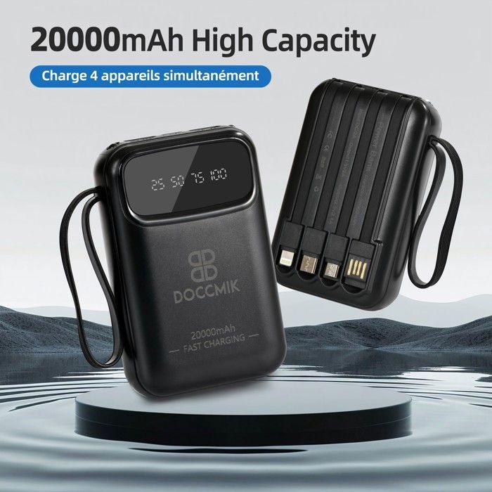 DOCCMIK Batterie Externe 20000mAh Power Bank avec 4 Câbles Intégrés Batterie Portable et LED Lampe Noir