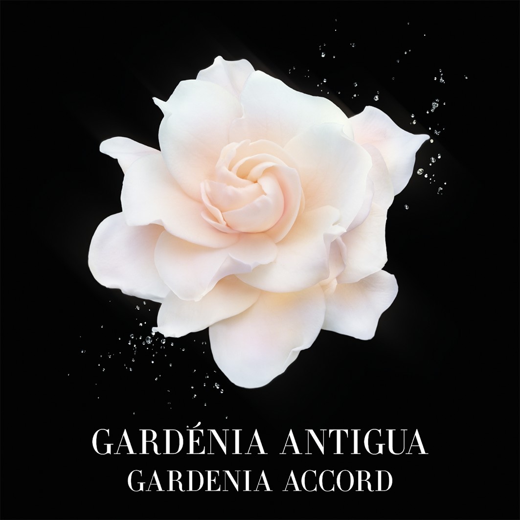 Armani Privé Gardenia Antigua Eau de Toilette - 100 ml