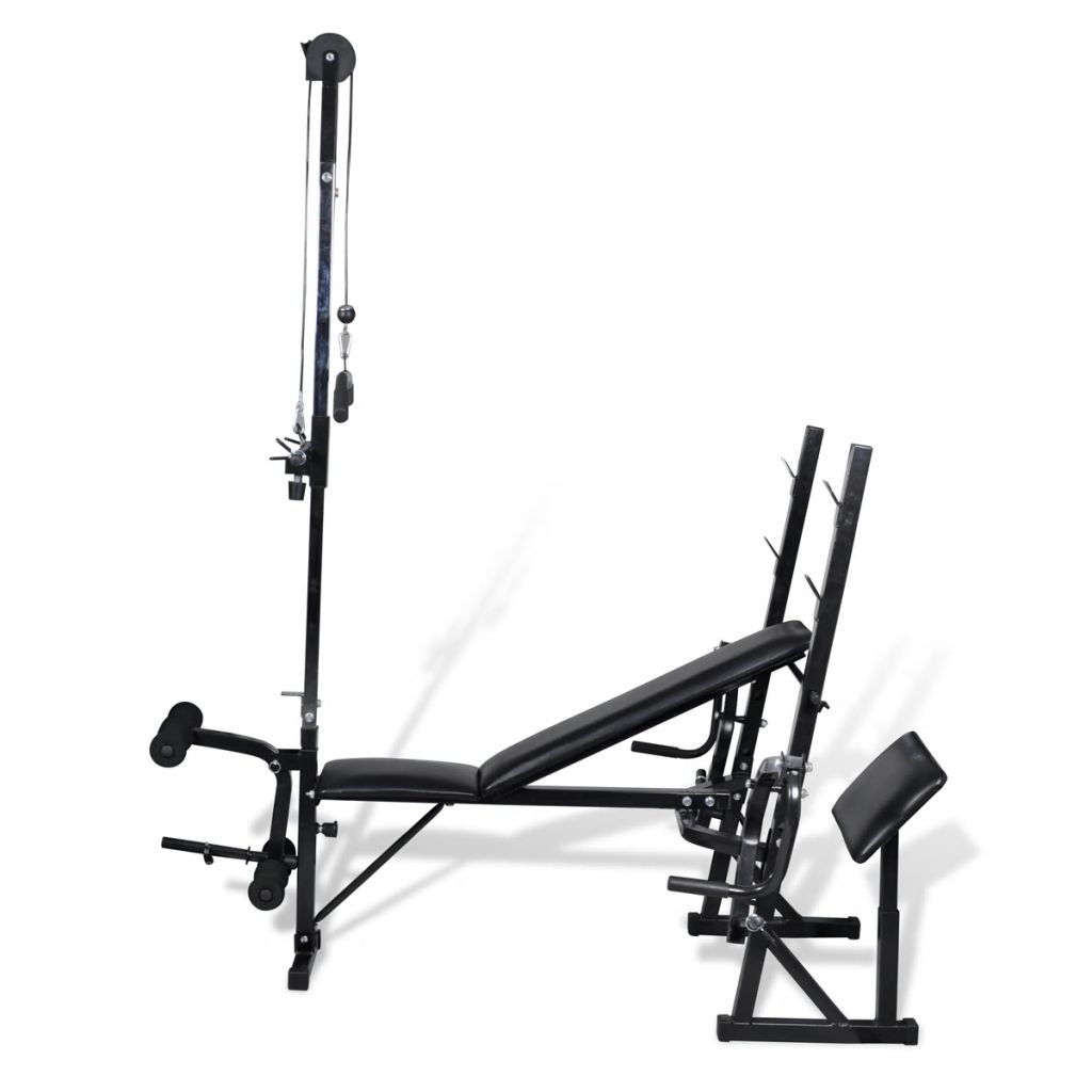 Banco De Ejercicios Y Musculación Casero Vidaxl