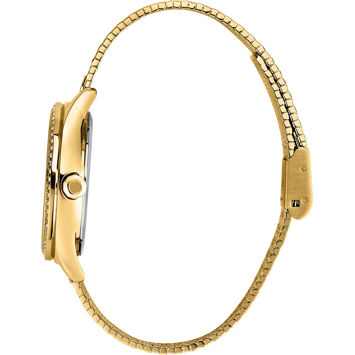 Trussardi Montres