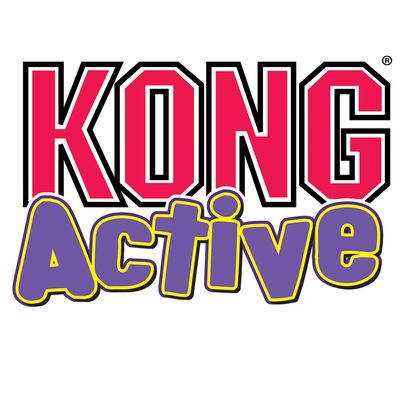 Upoutávka na okno KONG Connects