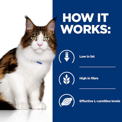 Hill's Prescription Diet Feline s kuřecím masem