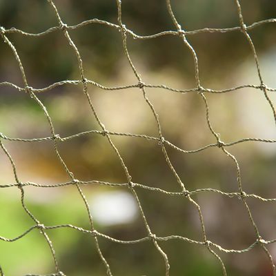 Rete di sicurezza per gatti - Resistente ai morsi e rinforzata con filo metallico
