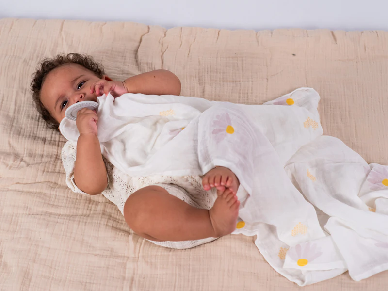 Taf Toys Luxe Pasgeboren Baby Cadeauset
