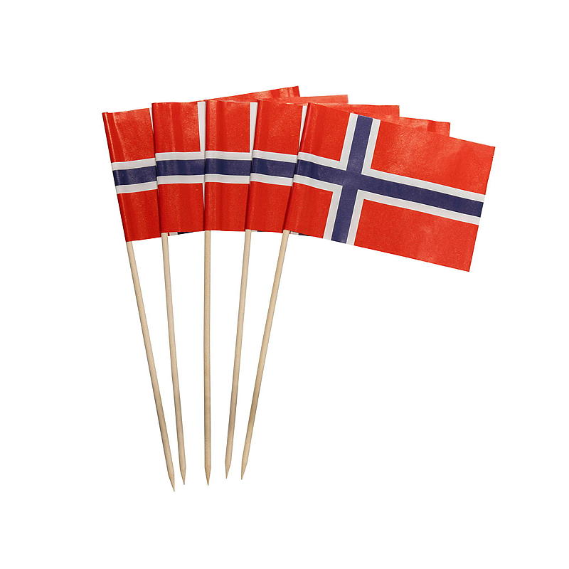 Giform Blomsterpinne 6-pakning, med norsk flagg