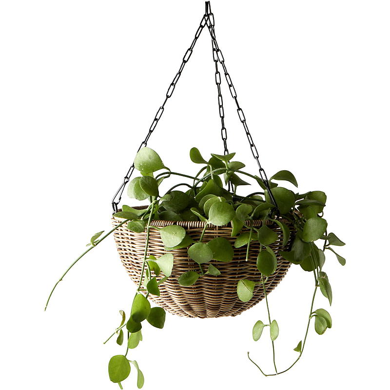 Pot suspendu Home ø 26 cm, marron, Hageby