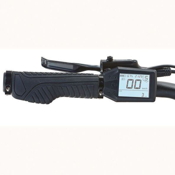 Trekking E-Bike Explorer 2.0, Men's