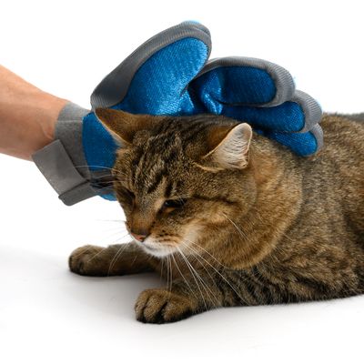 Pflegehandschuh