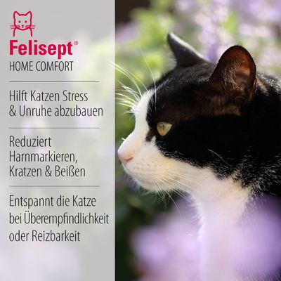 Felisept Home Comfort Guler Calmant