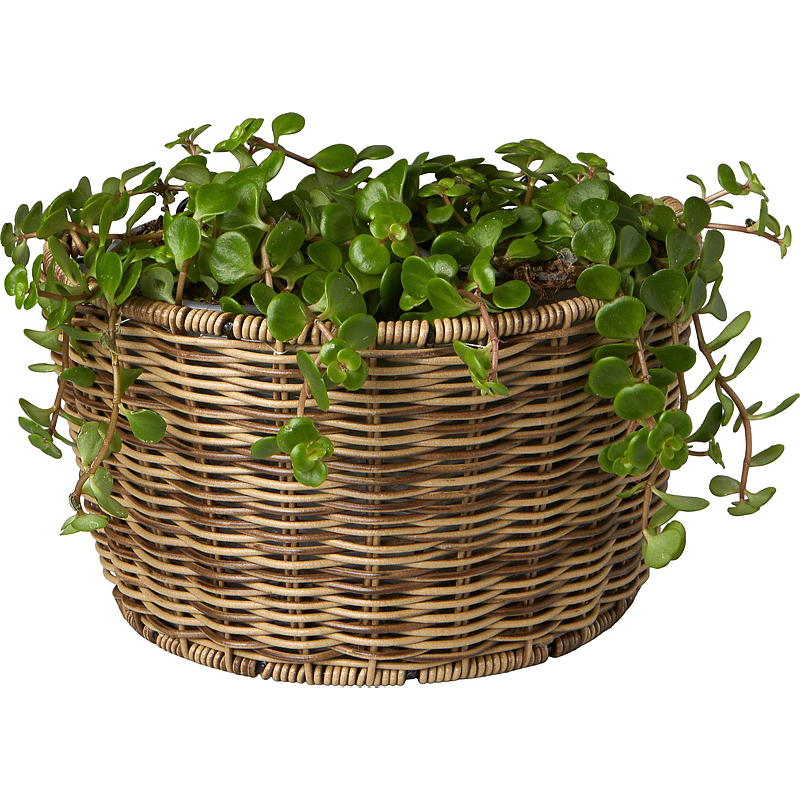 Wandpot voor thuis, 26x16 cm, bruin, Hageby