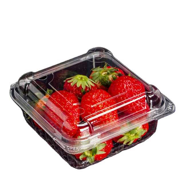 Caja de embalaje desechable para frutas al por mayor: Fresa, Cereza, Caja de plástico transparente para frutas, Caja tipo blíster para arándanos