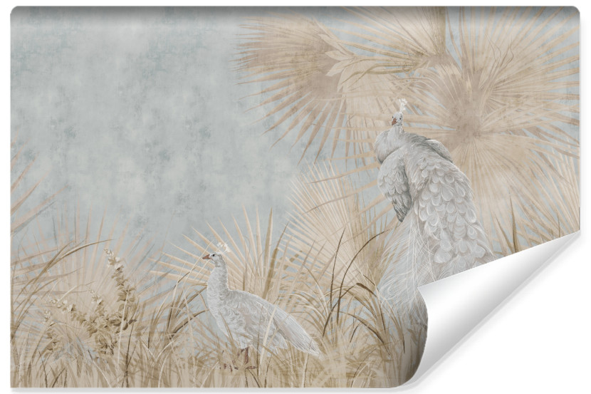 Fototapeta Pawie Na Betonie W Stylu Vintage 90x60cm
