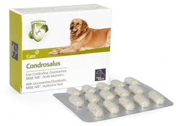 CAMON Natürliche Ulmen-Cordrosalus 60 Tabletten