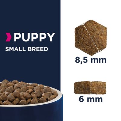 Eukanuba Filhote de Raça Pequena - Galinha