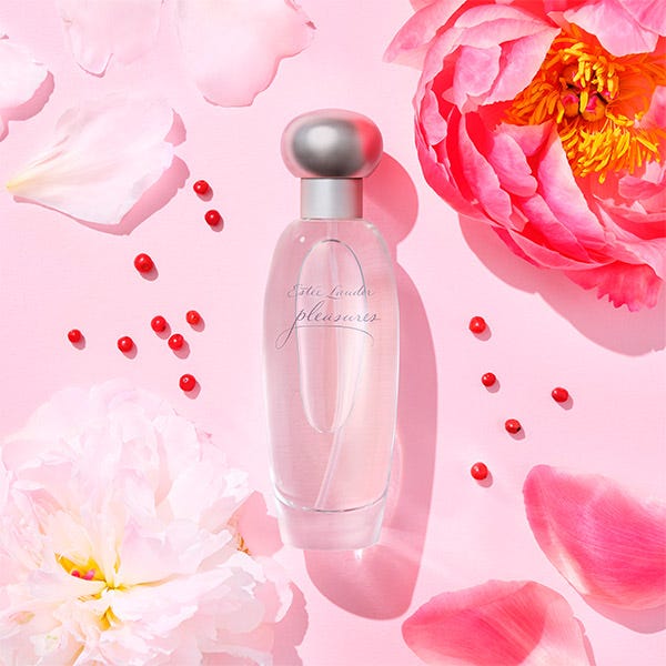 Cofre Pleasure| 1UD