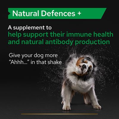Tabletas de suplemento para perros PRO PLAN Natural Defences