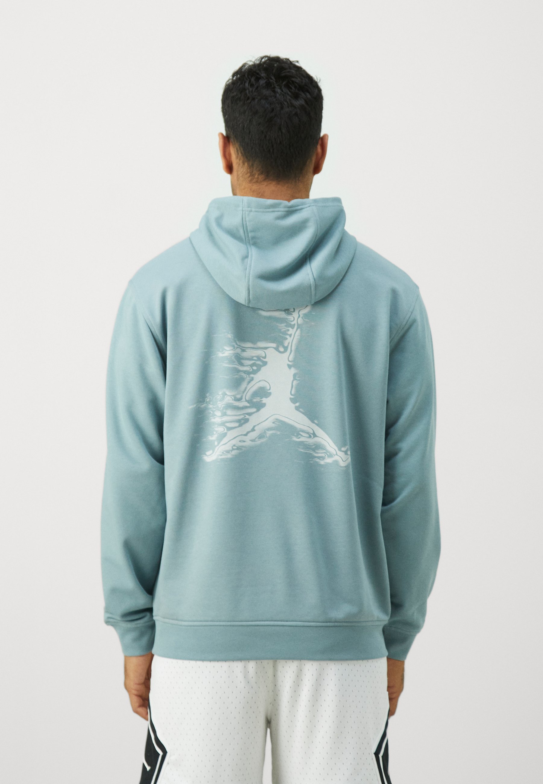 Sweat à capuche Jordan - gris aviateur/argent clair