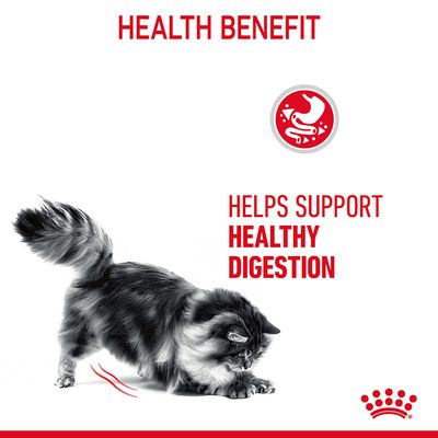 Royal Canin Digestive Care in Gravy