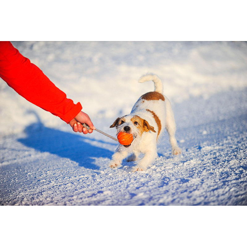 Hundlekboll med snöre ø 7 cm