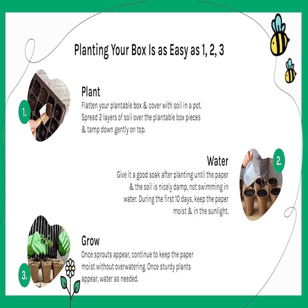Caprea Skönhetsfuktighetskräm med SPF30 30ml