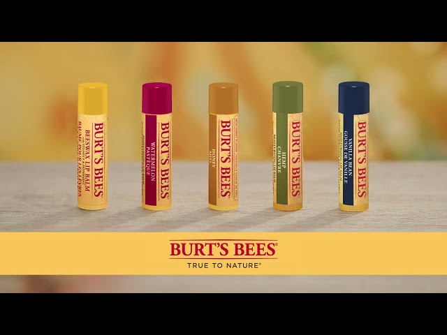 Burt's Bees Wassermelonen-Lippenbalsam 4,25 g