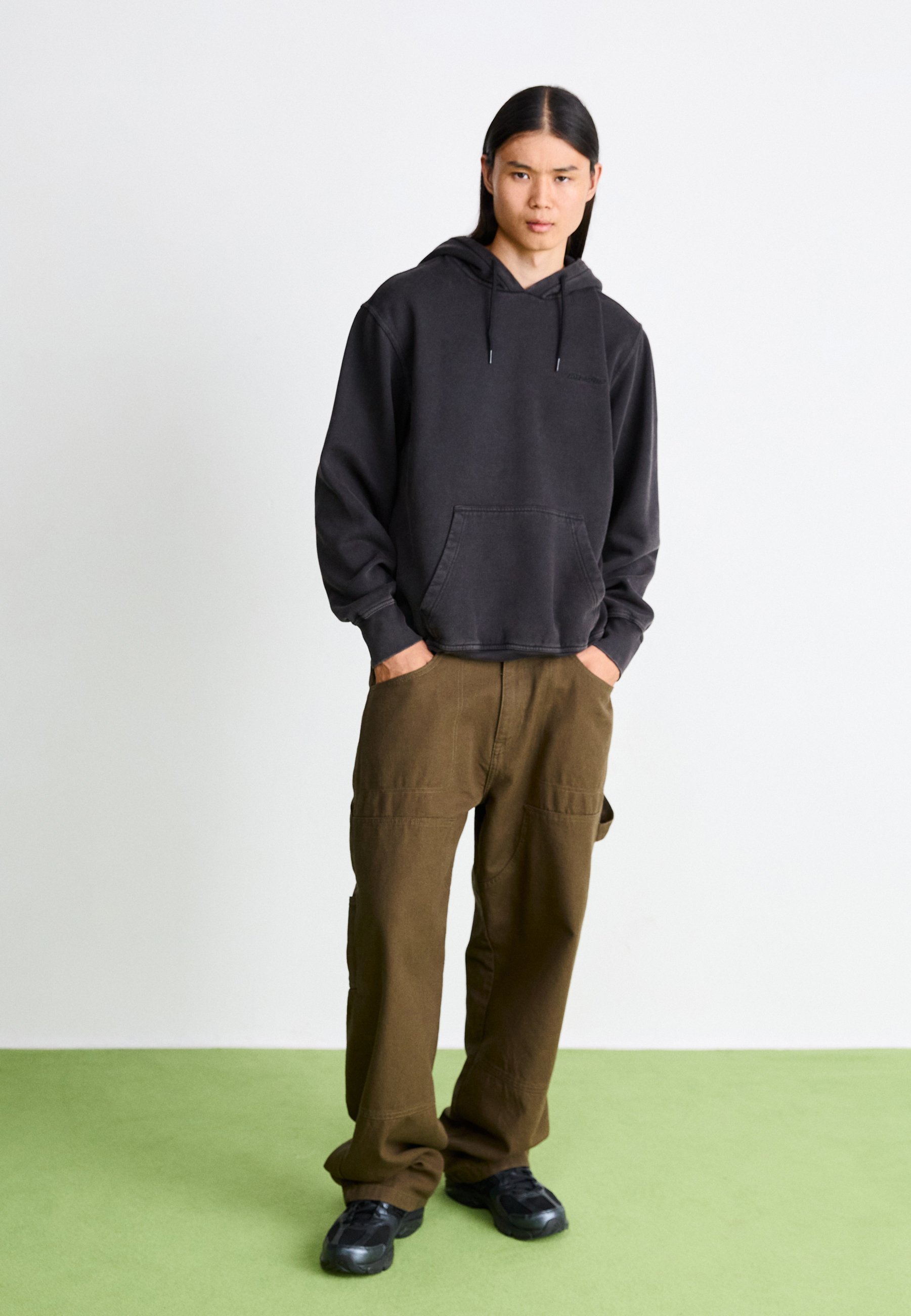 Sweat à capuche Dickies PLENTYWOOD - Noir