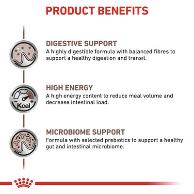 Royal Canin Veterinary Cat - Γαστρεντερική τροφή σε σάλτσα