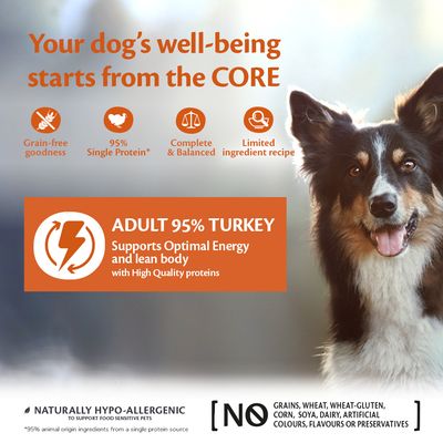 Alimento húmedo para perros Wellness Core Adult con 95 % de proteína única de pavo y col rizada